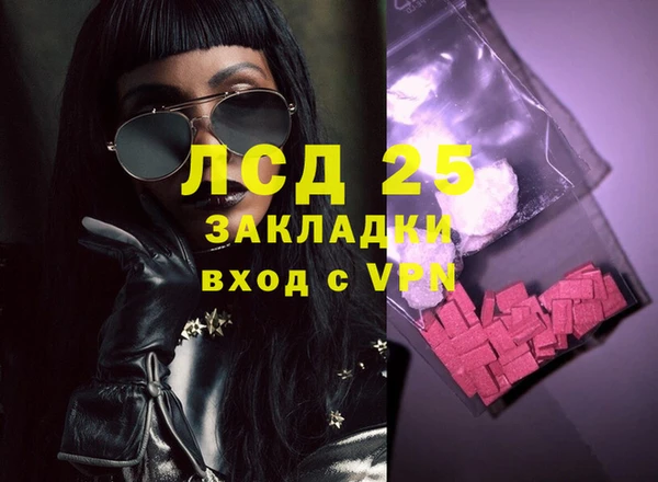 прущие грибы Покачи