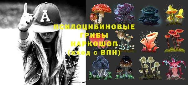 прущие грибы Покачи
