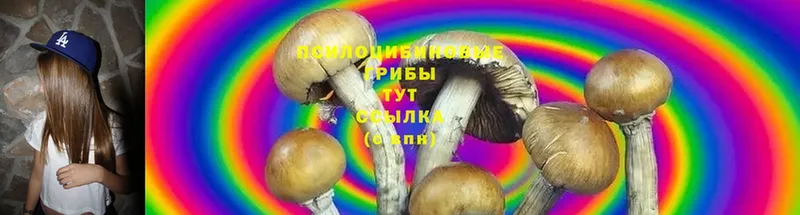 Псилоцибиновые грибы MAGIC MUSHROOMS  ссылка на мегу вход  Сим 